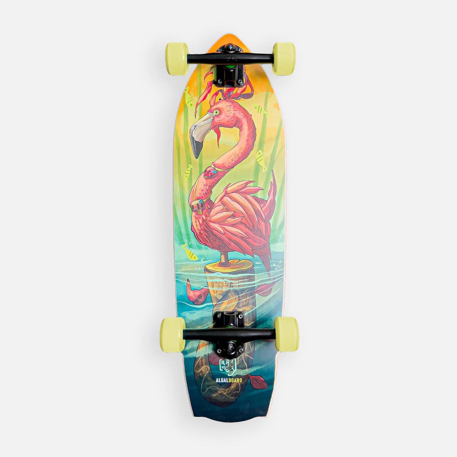 Cruiser Skateboard Hawaii 2.0 Design Ispirato al Surf | Algal Board
