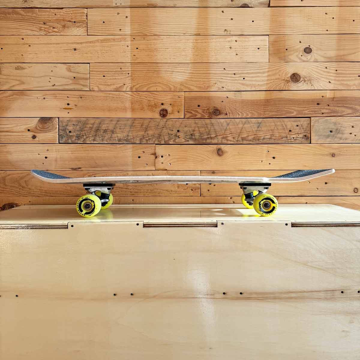 Cruiser Skateboard Quiver 2024 by Algal Board